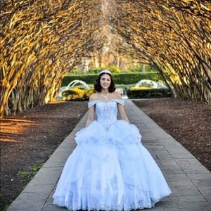 Gorgeous ball gown/ quince/ sweet 16 dress great condition used once for pics